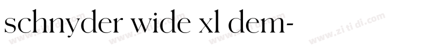 schnyder wide xl dem字体转换
